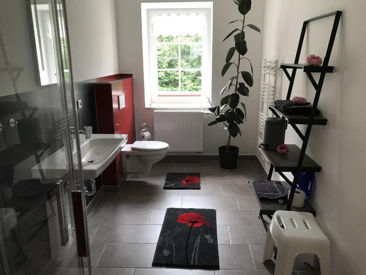 Ferienwohnung Uhlig Altenberg  Esterno foto