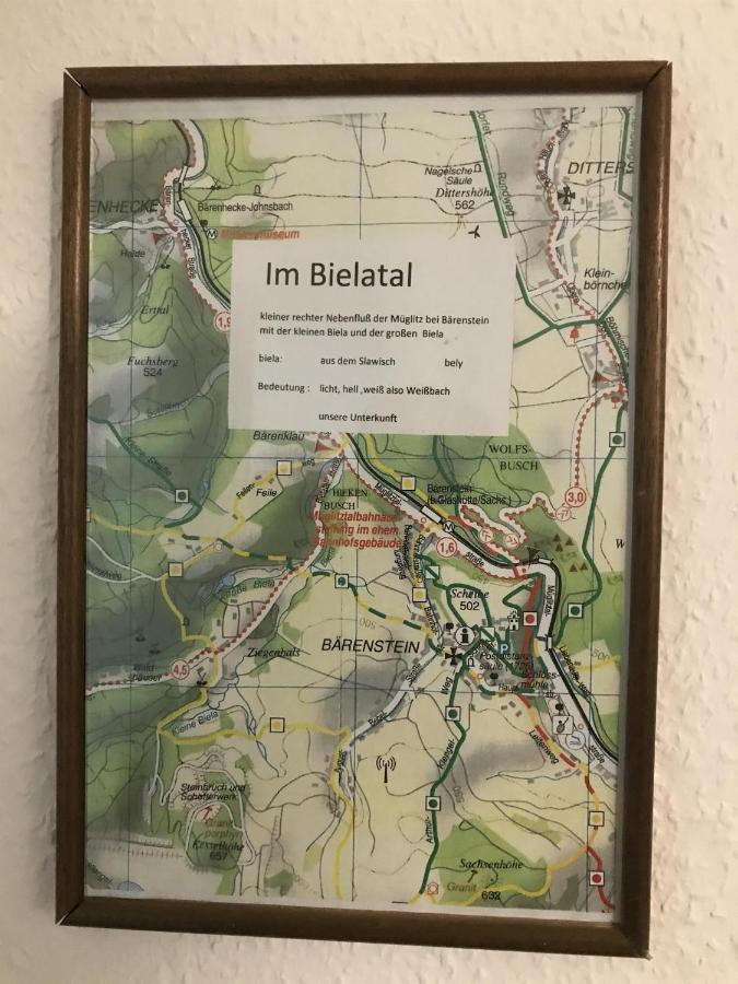 Ferienwohnung Uhlig Altenberg  Esterno foto