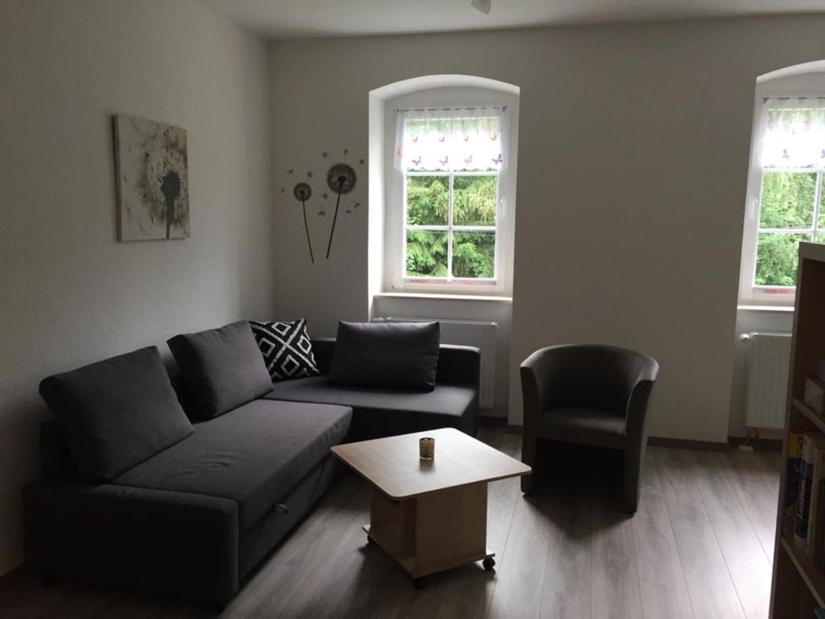 Ferienwohnung Uhlig Altenberg  Esterno foto